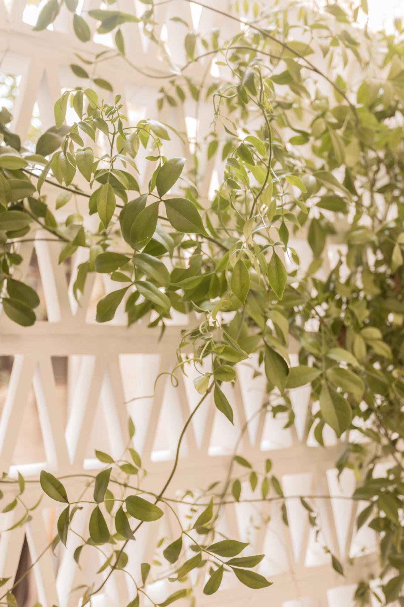 Elegant Apartment A Breath Away From The Acropolis Atena Exterior foto